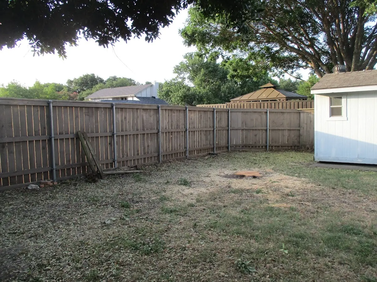 Cleared yard after professional tree removal in East Montpelier